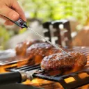 Termometro Digital De Cocina Pinche